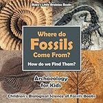 Where Do Fossils Come from? How Do 