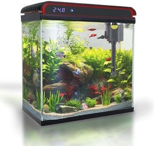 Glass 20 G