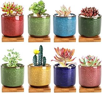 Lawei Confezione da 8 vasi per piante grasse in ceramica da 6,3 cm, con vassoio in bambù, per cactus, vasi per fiori, per casa, giardino, ufficio (piante non incluse)