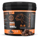 BeastLife High Protein Mass/Weight Gainer | 5 KG | Belgian Chocolate | NABL LAB Tested | For Muscle Gain & Fast Growth | Cereal-Based Formula, No Maltodextrin | India's #1 Cereal Based Bulk Gainer