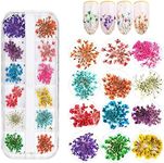 KINGMAS 12 Colors Dried Flowers for Nail Art, 1 Box Dry Flowers Mini Real Natural Flowers Nail Art Supplies 3D Applique Nail Decoration Sticker Decor (A)