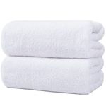 Polyte Quick Dry Lint Free Microfiber Bath Sheet, Pack of 2 (White, 35x70)