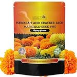 NatureZ Edge, Marigold Seeds, Marig