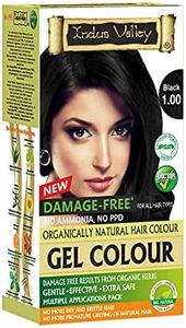 Indus Valley Natural Organic Damage Free Gel Hair Color For Grey Coverage Hair (BLACK)