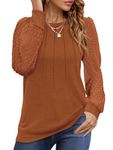 Aokosor Ladies Long Sleeve Tops Women Tops Crewneck Pleated Shirt Ladies Chiffon Fall Tops Orange Size 18-20