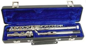 Hisonic Signature Series 2810N Closed 16-hole Flute