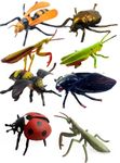 Bestie toys Real Looking Fake Insects Toy Figures Educational Toys PlasticModel Toys Bee Model Science Toy Grasshopper Model Realistic Insect Figure Simulated Insect Model Animal Insect Toys