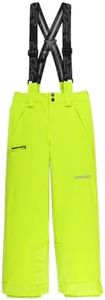 Spyder Boys Snow Ski Propulsion Pants, Lime, 12
