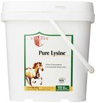 Vita Flex Pure Lysine, 151 Day Supply, 4 lbs