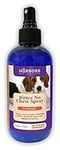 Harbor's Bitter No Chew Spray | 3 X Strength Chewing Deterrent Spray | Anti Chew Behavior Training Aid | Stops Destructive Chewing and Licking of Shoes, Bandages, Paws, Fur & Furniture | Made in USA