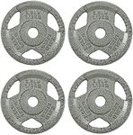 Fitvids Cast Iron Plate Weight Plate for Strength Training and Weightlifting, 1-Inch Center, 2.5LB (Set of 4)