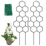 WellSign Small Wooden Trellis for Potted Plants, 16 inch Plant Trellis for Climbing Plants Indoor Pot with Moisture-Proof Layer, Honeycomb Shape for Ivy Vines Hoya Houseplants Flower 2 Pack