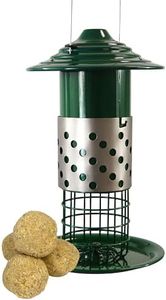 Mealworm & Peanut Combination Bird Feeder with Insects & Nuts Suet Balls