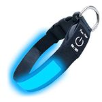 Fun Pets LED Dog Collar in Blue - USB Rechargeable Pet Safety Collar - Great Visibility & Improved Safety (40cm - 50cm / 15.7" - 19.7")