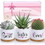 TuDou Birthday Gifts for Sister, Christmas Sister Gifts for Sister Brother Friends from Sister Brother Bestie, Best Sister Ever Ceramic Succulent Pots, Unique Presents Arrive Beautifully Gift Boxed