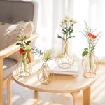 Sziqiqi Glass Propagation Station with Metal Frame - Mini Gold Geometric Art Vases Set of 4 Modern Wire Flower Vase for Hydroponic Plants Small Decorative Bud Vase for Table Wedding Centerpieces