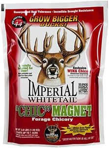 Whitetail Institute Chic Magnet Deer Food Plot Seed, WINA-100 Perennial Forage Chicory Attracts Deer and Provides Antler-Building Protein, Heat, Cold and Drought Tolerant, 3 lbs (1 Acre)