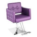 Dangvivi Purple Salon Chair for Hai
