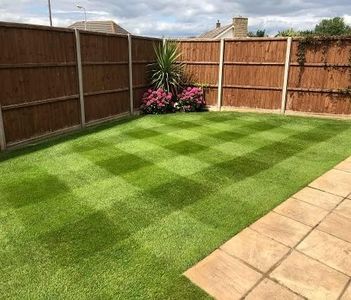 Boston Seeds Renovator Grass Seed – Rapid Germination, 20kg Lawn Repair