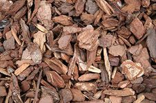 KOO Retails Pine Bark Chips for All Orchid Potting Soil (500)