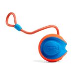 Chuckit! Toy Rope Fetch Dog Toy Durable Dog Ball On Rope Kick Thow Tug Toy for Dogs