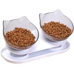 Raised Cat Bowls with Stand, Tilted Cat Bowls for Kitten, Elevated Cat Food and Water Bowls, Double Cat Bowls Anti Vomiting Cat Feeding Bowl