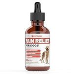 Natural Pain Relief for Dogs | Dog 