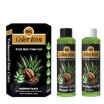 RKS Premium Color Icon Fruit Vinegar Hair Colour Gel For Men & Women | 100% Made In India Colour Gel | 100% Grey Coverage Under 10 Minutes | Organic & Natural Hair Colour For Black Hair - 500mlx2