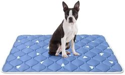 Dog Crate Mat, Ultra Soft Dog Bed Mat for Sleeping with Anti-Slip Bottom, Washable Dog Mat Kennel Pad for Large Medium Small Dogs Breeds with Cute Prints and Dark Colored to Hide Stains (30" X 19")