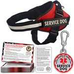 Service Dog Vest + ID Tag + 50 ADA Information Cards - Service Dog Harness w Patch in Sizes X Small to XX Large, Metal Dog Tag has Durable Clip, Service Animal Information Cards. ESA Accessory Set