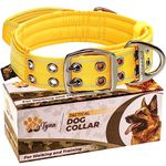 ADITYNA - Heavy Duty Dog Collar with Handle - Reflective Dog Collar for Medium Dogs - Wide, Thick, and Soft Neoprene Padded Dog Collar for Training and Walking (Medium: Fit 15-19" Neck, Yellow)