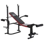 HOMCOM Adjustable Weight Bench with Leg Developer Barbell Rack for Weight Lifting and Strength Training Multifunctional Workout Station for Home Gym Fitness