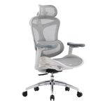 SIHOO Doro C300 Ergonomic Office Chair with Ultra Soft 3D Armrests, Dynamic Lumbar Support for Home Office Chair, Adjustable Backrest Desk Chair, Swivel Big and Tall Computer Chair (Grey)