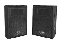 PVI 10 - 10" Passive Two-Way PA Speaker Pair