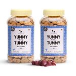 Heads Up For Tails Dog Biscuits Non Veg - Treats Cookies (320 Gm Each, Chicken Liver) - Pack Of 2, All Life Stages