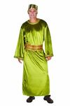 RG Costumes Men's Wiseman, Olive Green, One Size