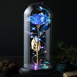 Veryhome Mothers Day Flowers Gifts Rose Gifts for Her Preserved Flowers Women Galaxy Rose Rainbow Light Up Flowers in Glass Dome Christmas Decoration for Valentine's Day Anniversary Mother's Day