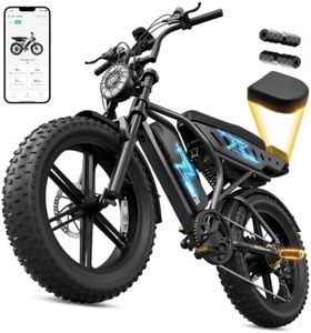 TST Electric Bike for Urban Cycling, 48V 30Ah Battery, 20"x4" Fat Tire