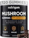 nutriyum Mushroom Gummies 10 Blend 