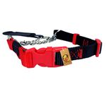 Foodie Puppies Nylon Half Chain Collar for Medium to Large Dogs (25mm) | Durable and Adjustable with Stainless Steel Chain | Perfect for Training, Walking, and Running