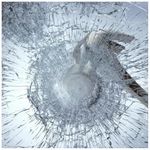 BDF S8MC Window Film Security and S