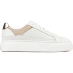 Ted Baker Womens Adison Court Sneakers White, White, 6.5