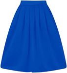 Taydey A-Line Pleated Vintage Skirts for Women (M, Z-Blue)