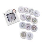 Baby Aspen My First Milestone Month Stickers, Blue/Grey/White