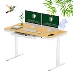 FLEXISPOT Electric Standing Desk with Drawers, Bamboo Desktop w/Wireless Charging, Dual Motor 3 Stages Adjustable Height Sit Stand Cable Management Tray (White Oval Legs + Top), 55x28''