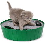 Indoor Exercise For Cats