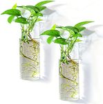 PACDONA 2 Pack Wall Hanging Planters Glass Terrariums - Cylindrical Plants Holders Air Plants Succulents Planters Flowers Glass Wall Vase Containers for Decor Indoor Garden