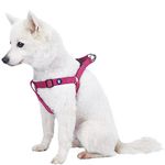 Blueberry Pet Step-in Classic Dog Harness, Chest Girth 42cm-54cm, Very Berry, Small, Adjustable Harnesses for Dogs