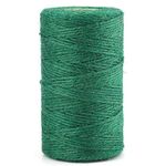 KINGLAKE 100m Garden Twine String Green, 2mm Jute Twine Craft String Twine for Crafts, Gift wrapping,Gardening,Packing,Christmas Decoration