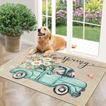 Vaukki Indoor Doormat, Non Slip Mud Trapper Entryway Rug, Low-Profile Inside Floor Mat, Absorbent Resist Dirt Welcome Door Rug, Spring Soft Washable Carpet for Entryway (Car, 32''x48'')